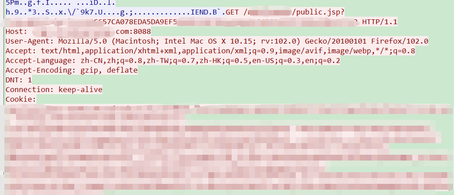 �Ϲ�NG����(�й�)�ٷ���վ