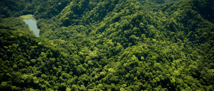 �Ϲ�NG����(�й�)�ٷ���վ