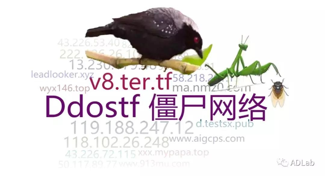 �Ϲ�NG����(�й�)�ٷ���վ