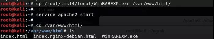 �Ϲ�NG����(�й�)�ٷ���վ