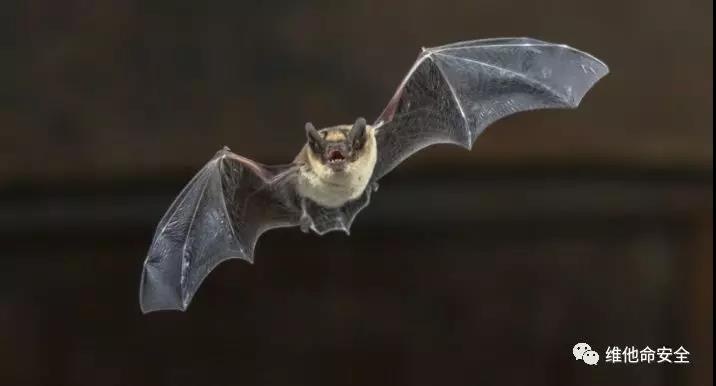 �Ϲ�NG����(�й�)�ٷ���վ