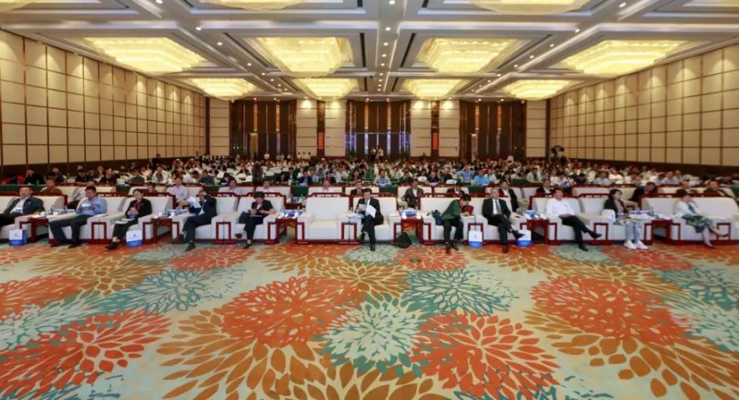 �Ϲ�NG����(�й�)�ٷ���վ