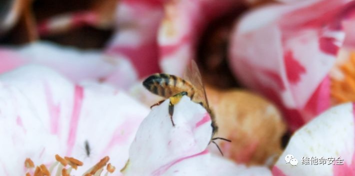 �Ϲ�NG����(�й�)�ٷ���վ