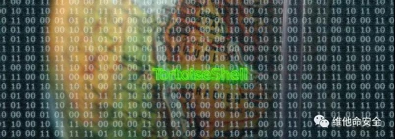 �Ϲ�NG����(�й�)�ٷ���վ