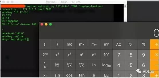 �Ϲ�NG����(�й�)�ٷ���վ