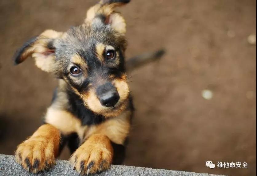 �Ϲ�NG����(�й�)�ٷ���վ