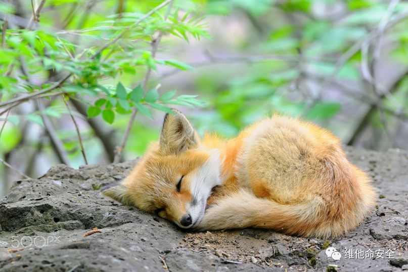 �Ϲ�NG����(�й�)�ٷ���վ