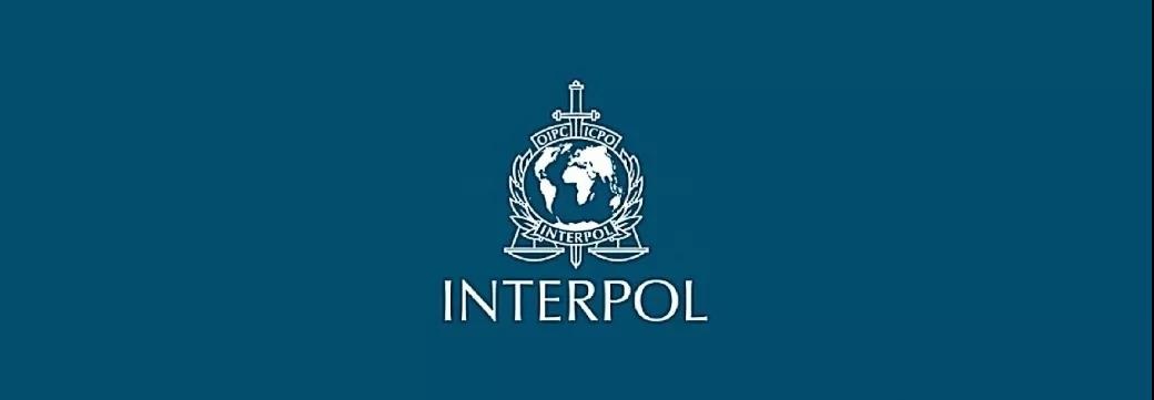 �Ϲ�NG����(�й�)�ٷ���վ